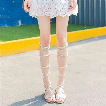 hth会体会官方网页版